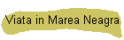 Viata in Marea Neagra