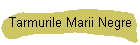 Tarmurile Marii Negre